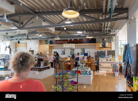 durrell charity shop|durrell wildlife conservation trust.